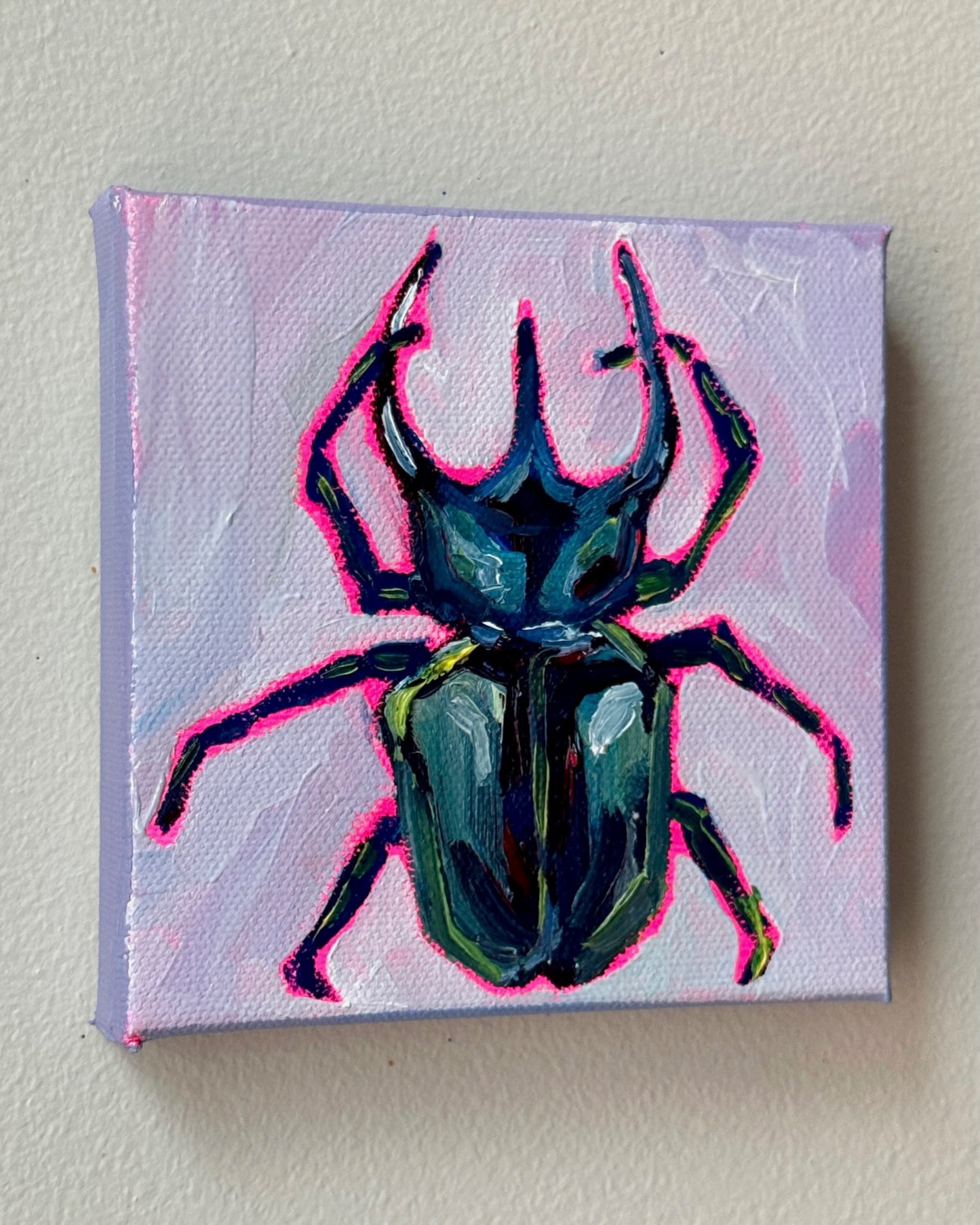 Mini Atlas Beetle, 5x5 Inch Original