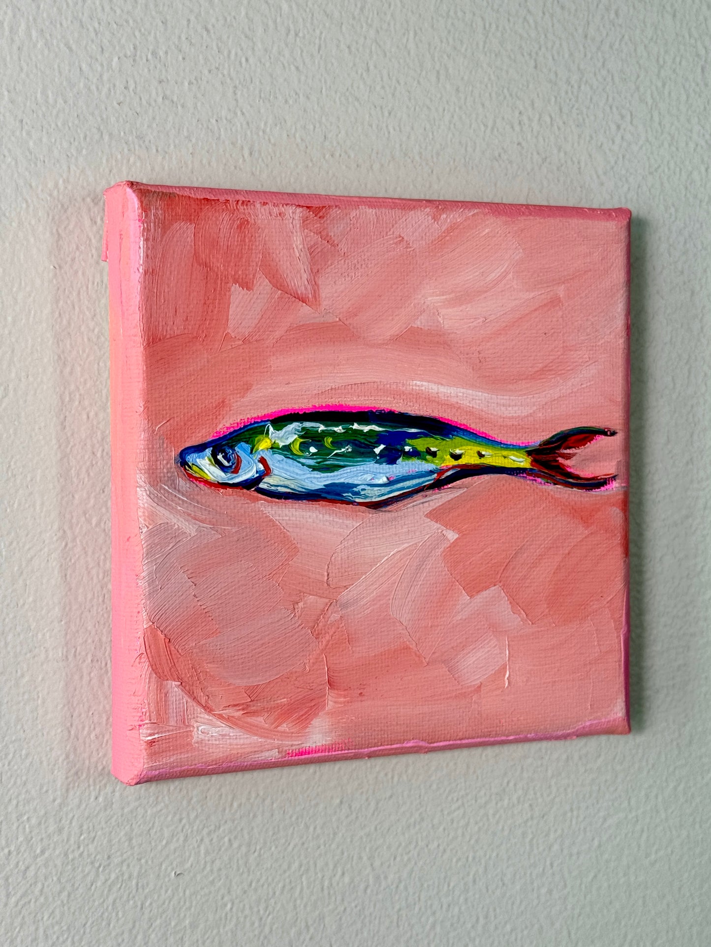 Mini Sardine 5x5 Inch Original