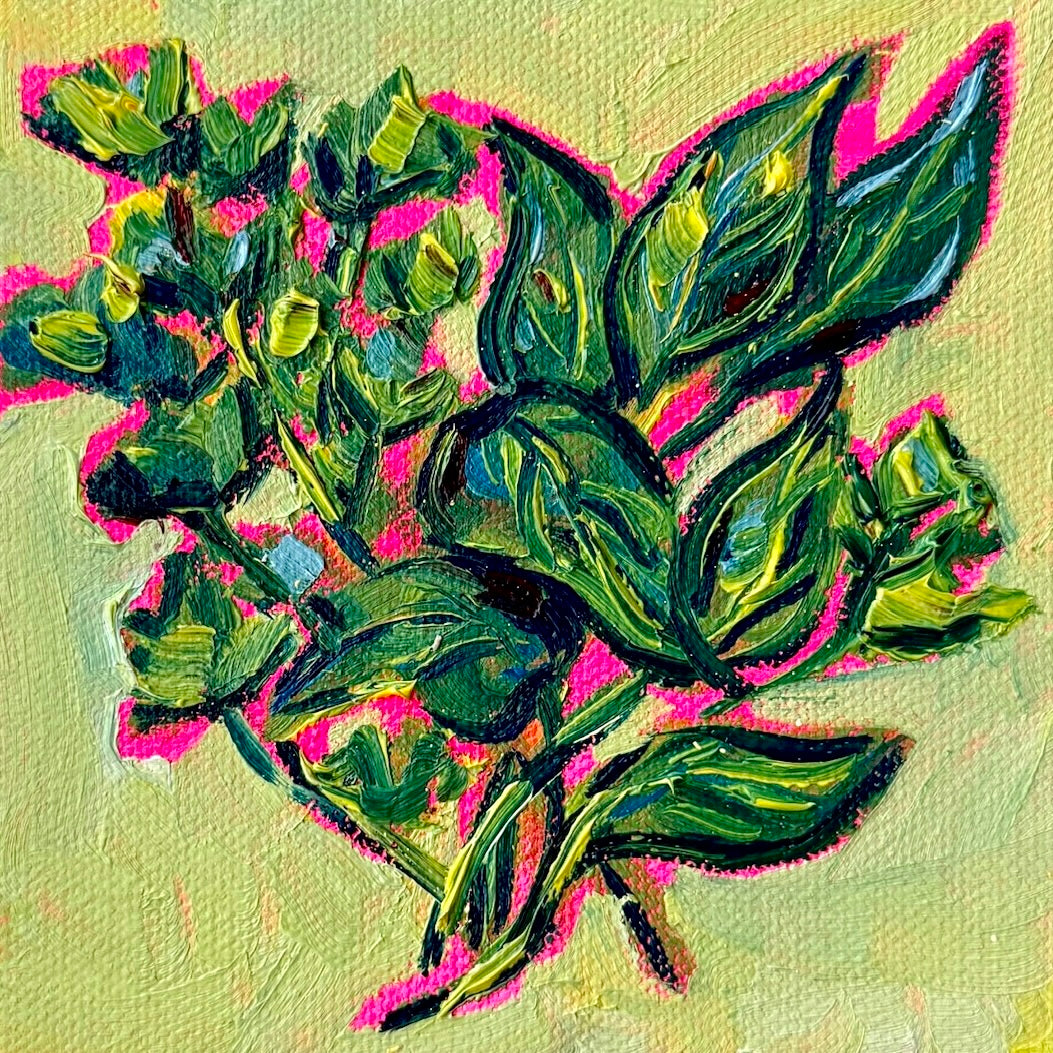 Mini Herbs PRINT (LIMITED TIME)