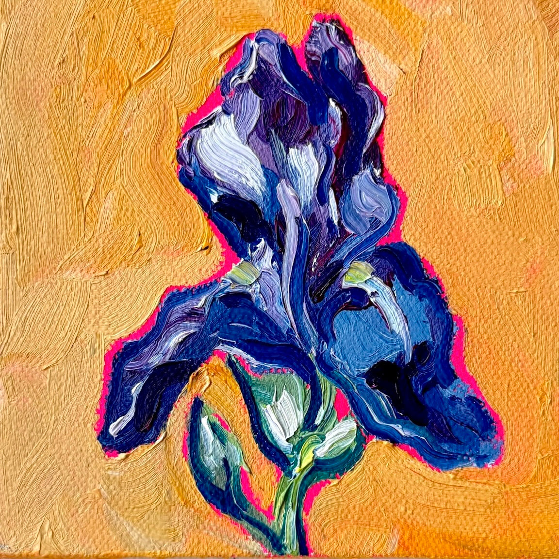 Mini Iris PRINT (LIMITED TIME)