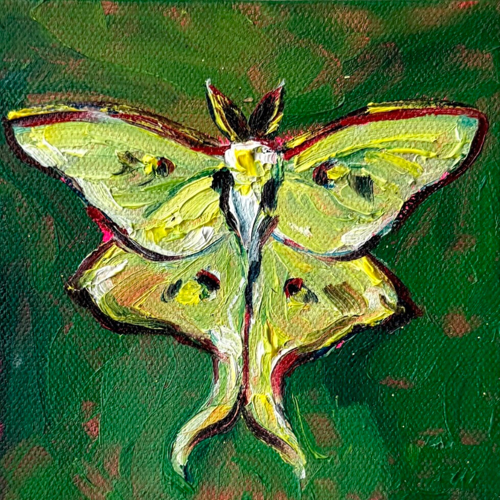 Mini Luna Moth PRINT (LIMITED TIME)