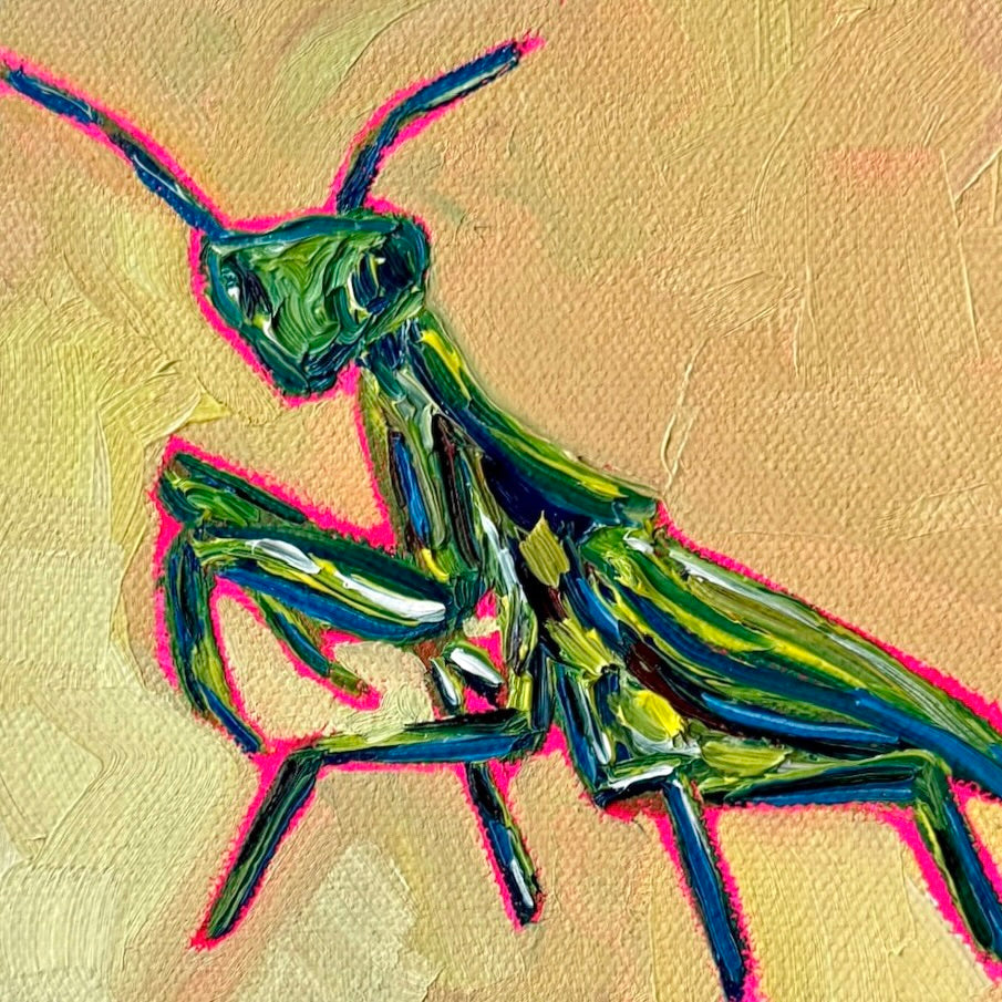 Mini Praying Mantis PRINT (LIMITED TIME)