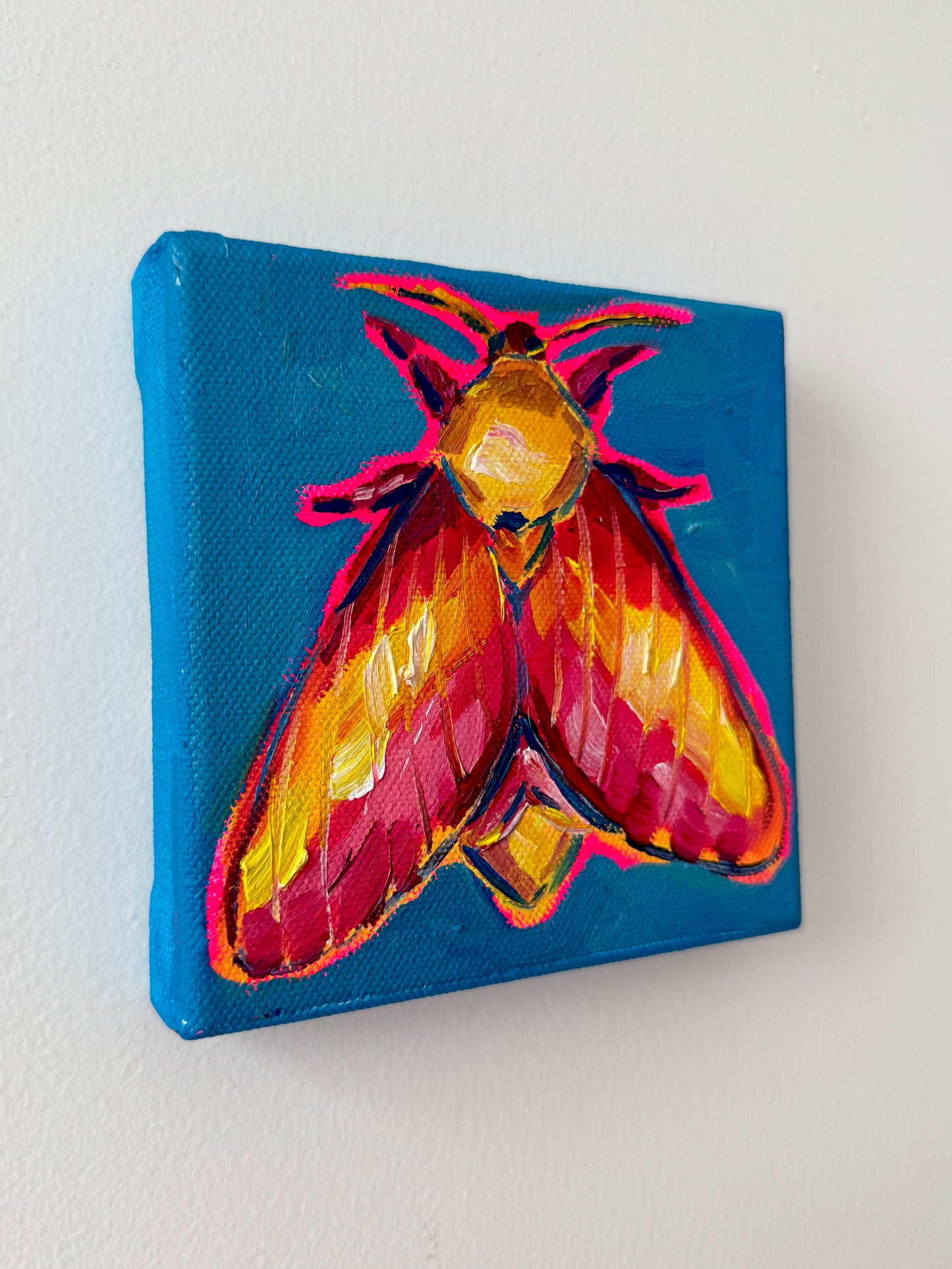 Mini Rosy Maple Moth II, 5x5 Inch Original