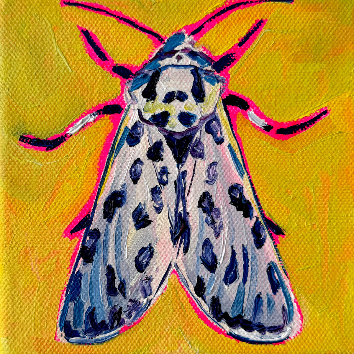 100 Mini Prints: Insects II
