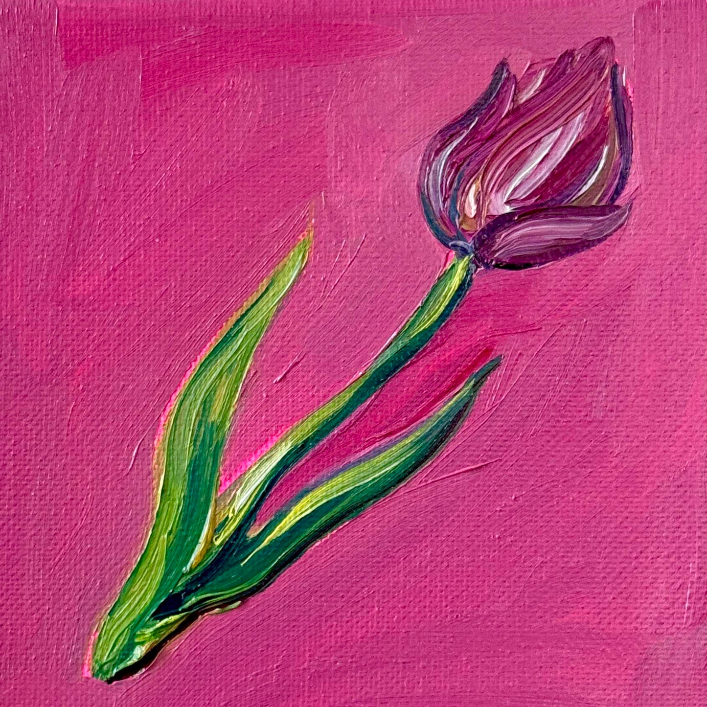 Mini Tulip PRINT (LIMITED TIME)