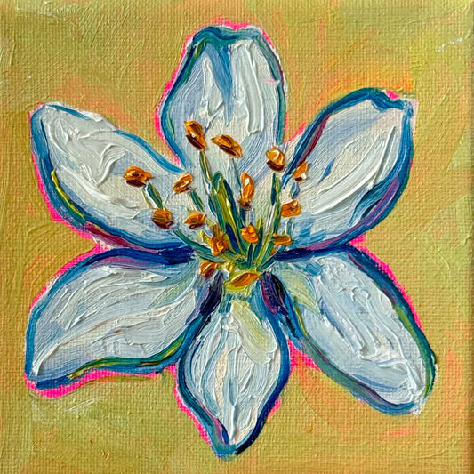 Mini Jasmine, 5x5 Inch Original