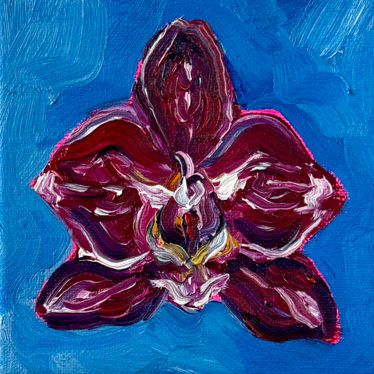 Mini Orchid, 5x5 Inch Original