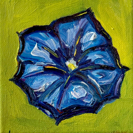 Mini Morning Glory, 5x5 Inch Original
