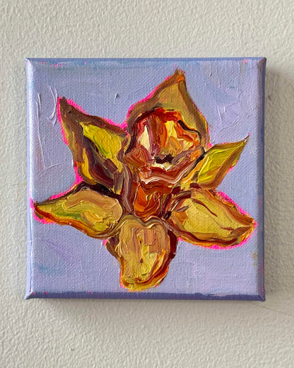 Mini Daffodil, 5x5 Inch Original