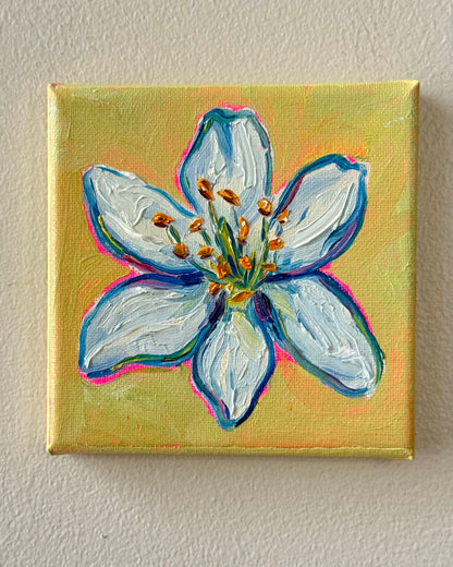 Mini Jasmine, 5x5 Inch Original