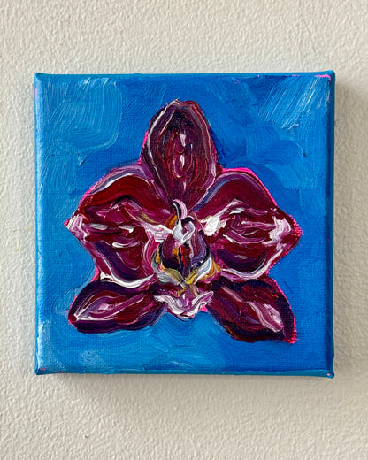 Mini Orchid, 5x5 Inch Original