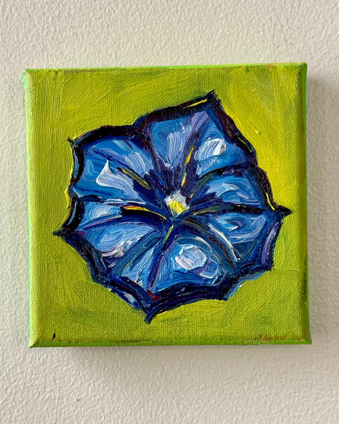 Mini Morning Glory, 5x5 Inch Original