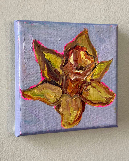 Mini Daffodil, 5x5 Inch Original