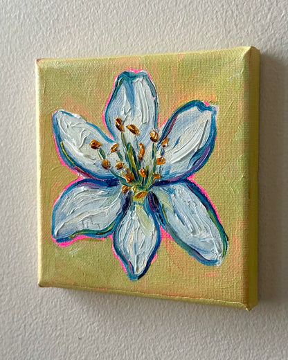 Mini Jasmine, 5x5 Inch Original