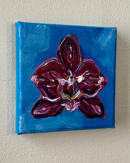 Mini Orchid, 5x5 Inch Original