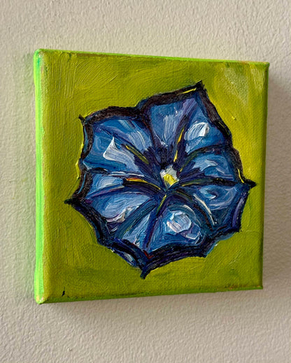 Mini Morning Glory, 5x5 Inch Original