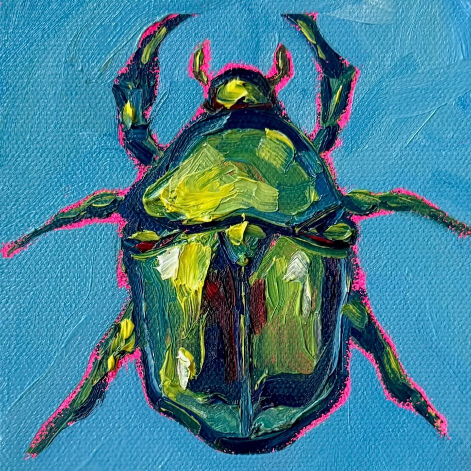 Mini Beetle, 5x5 Inch Original