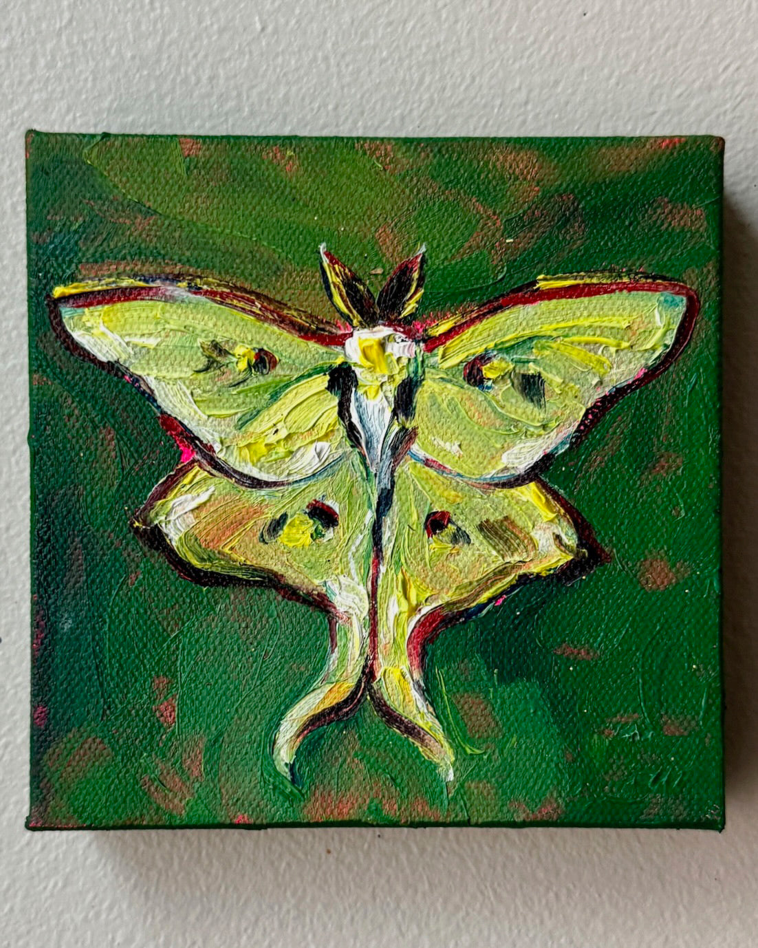 Mini Luna Moth, 5x5 Inch Original