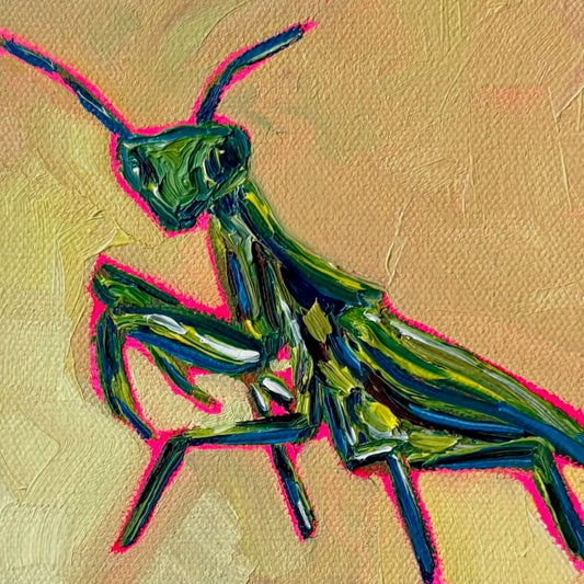 Mini Praying Mantis, 5x5 Inch Original