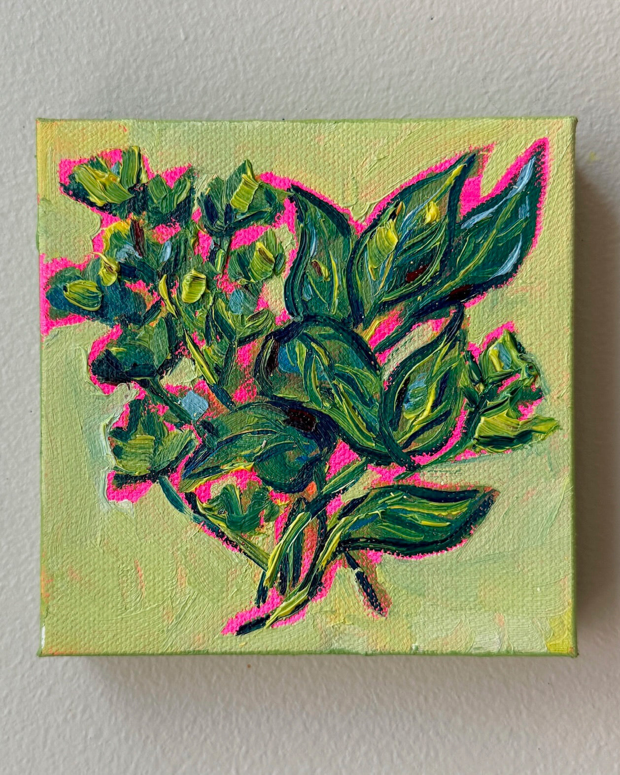Mini Herbs, 5x5 Inch Original
