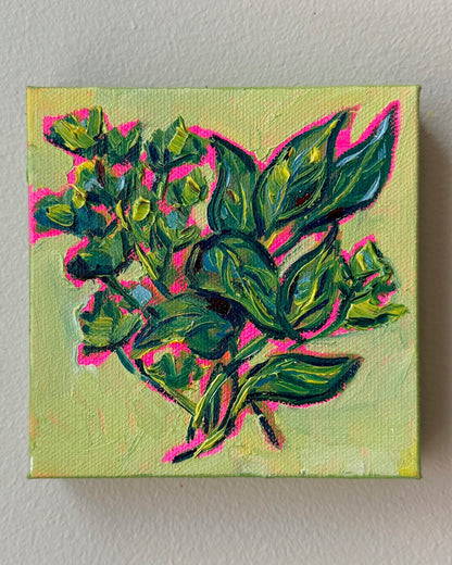 Mini Herbs, 5x5 Inch Original