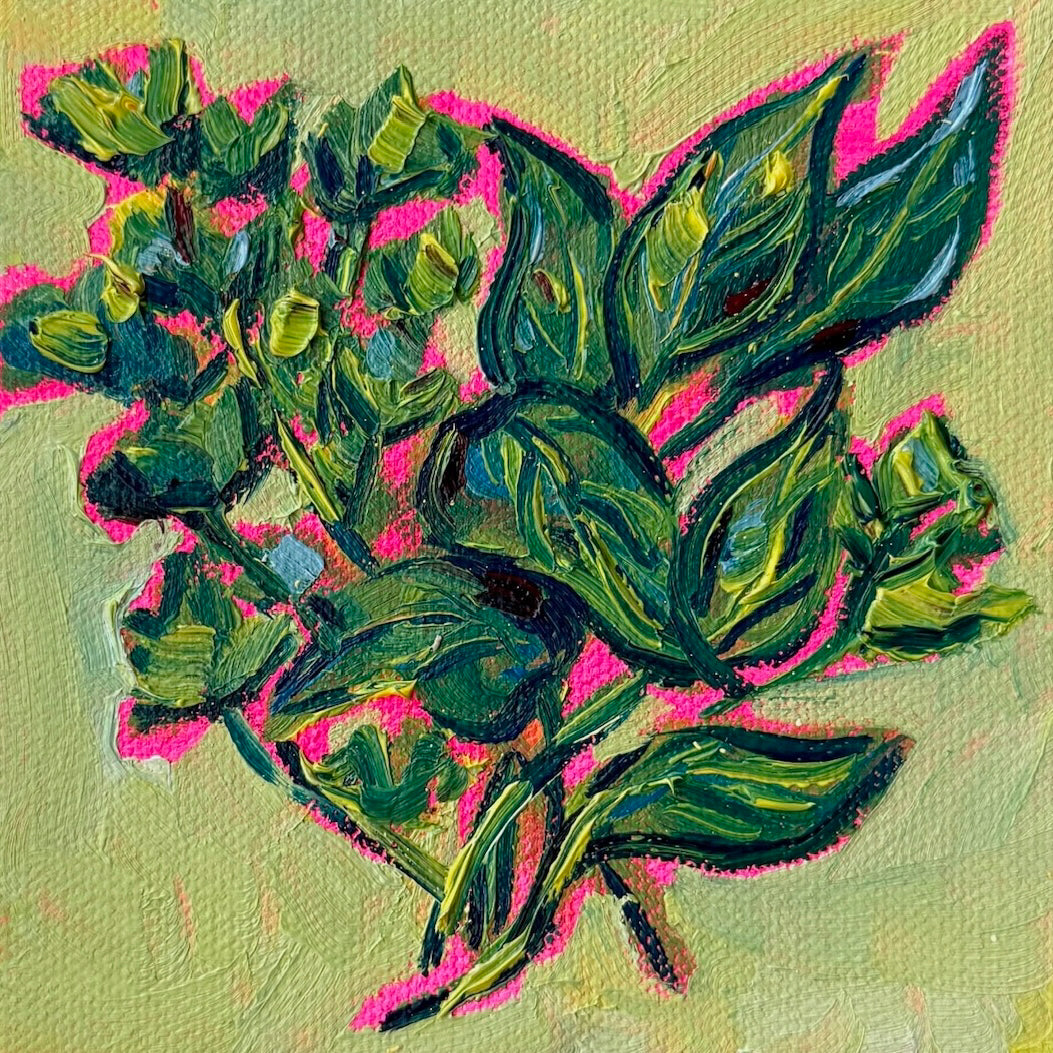 Mini Herbs, 5x5 Inch Original