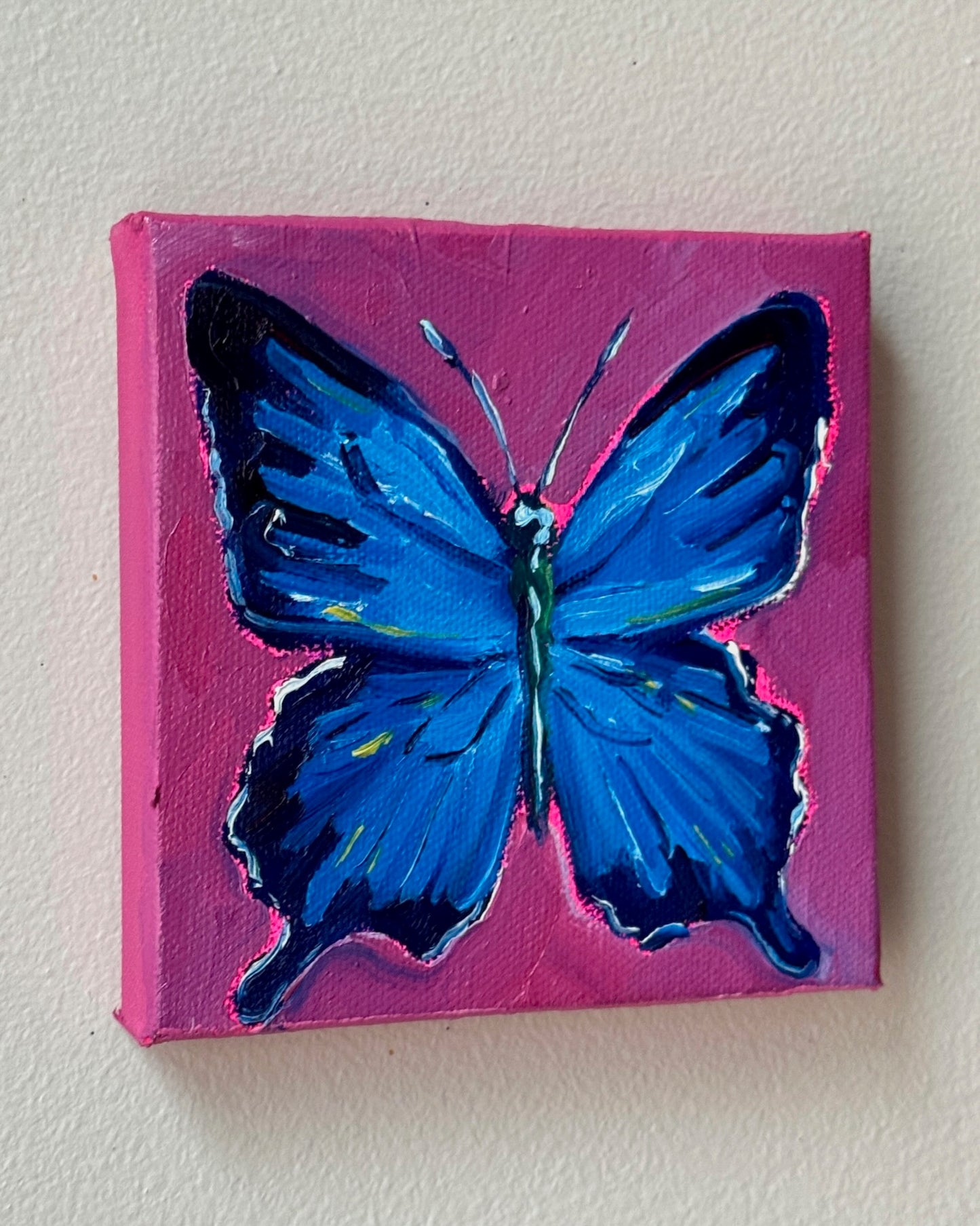 Mini Blue Butterfly, 5x5 Inch Original