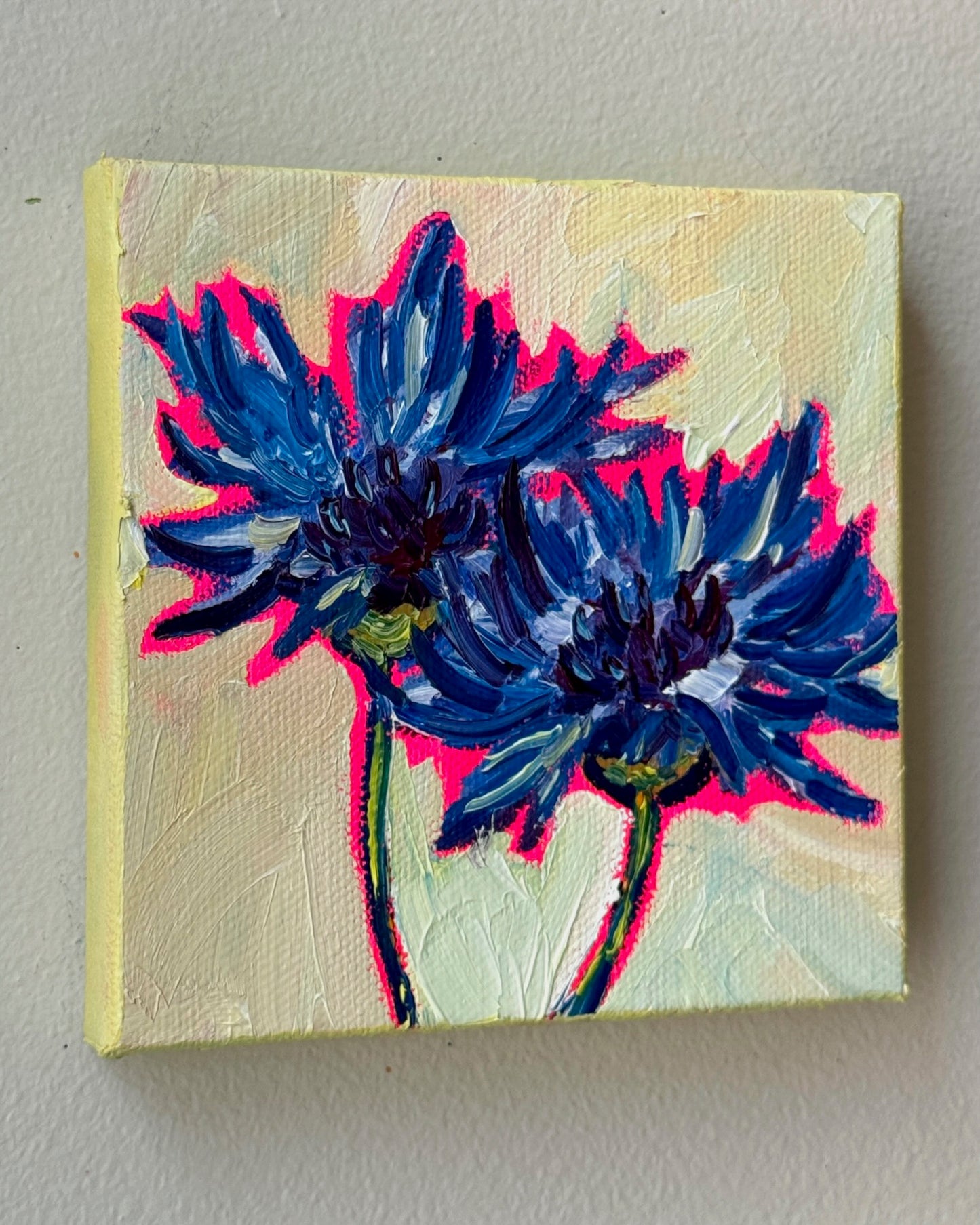 Mini Cornflowers, 5x5 Inch Original