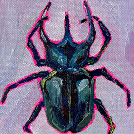 Mini Atlas Beetle, 5x5 Inch Original