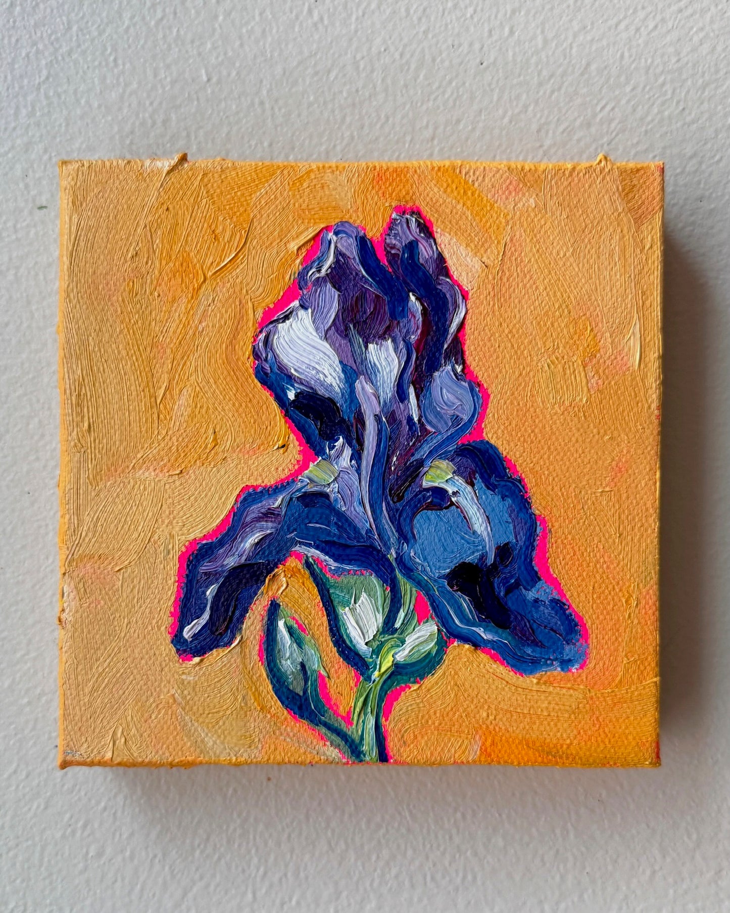 Mini Iris, 5x5 Inch Original