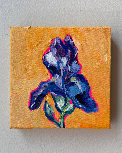 Mini Iris, 5x5 Inch Original