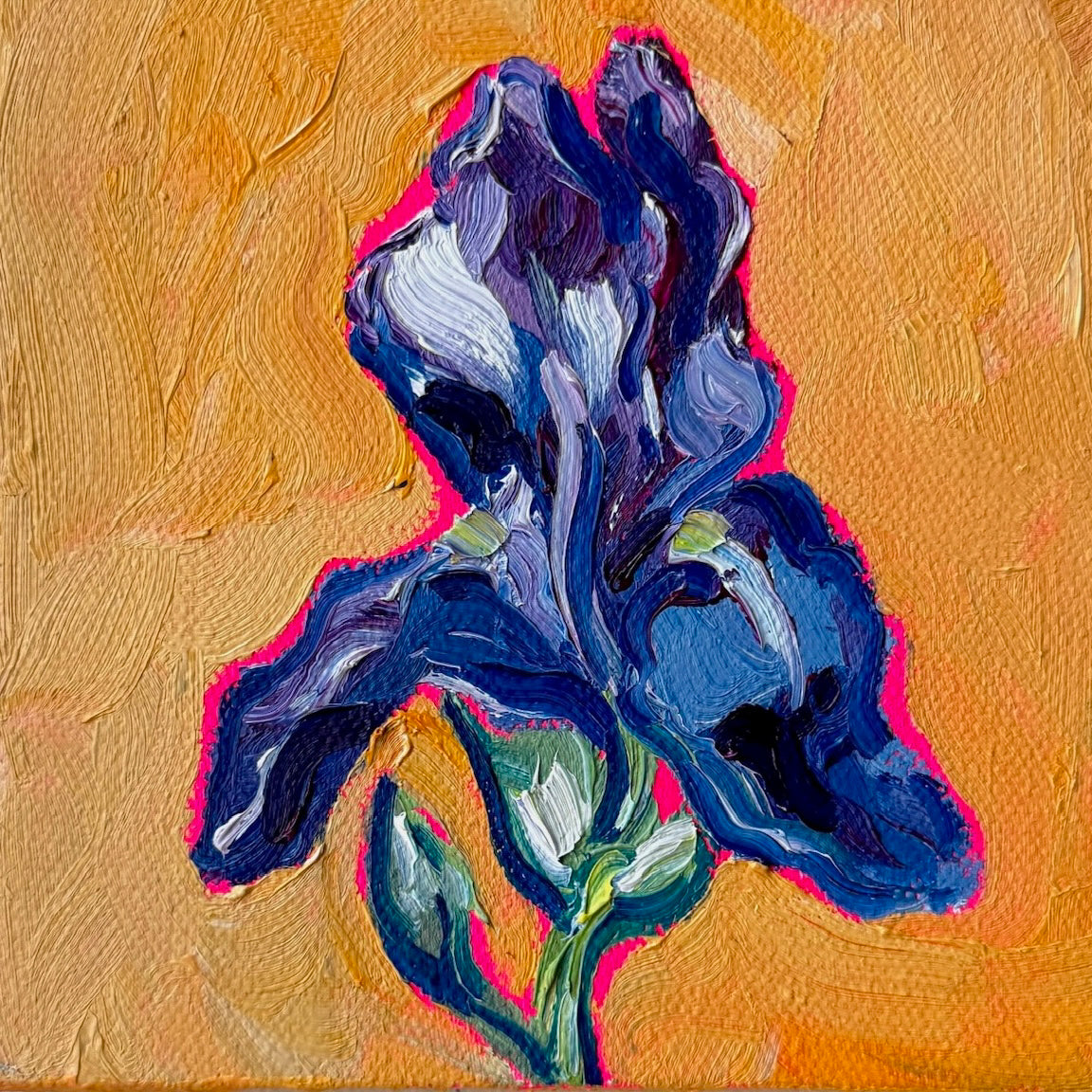 Mini Iris, 5x5 Inch Original