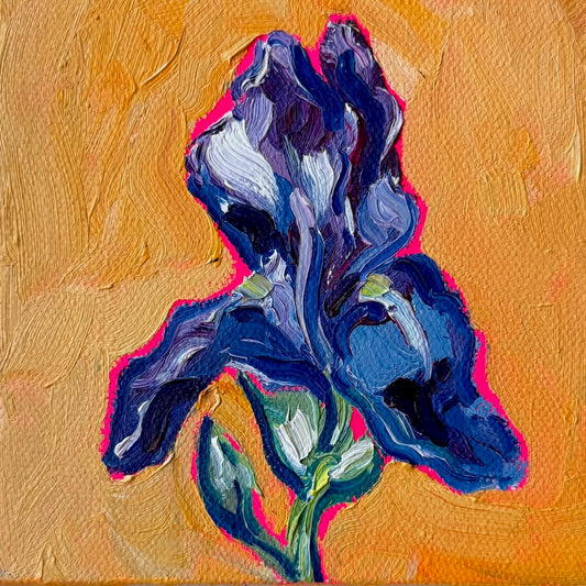 Mini Iris, 5x5 Inch Original