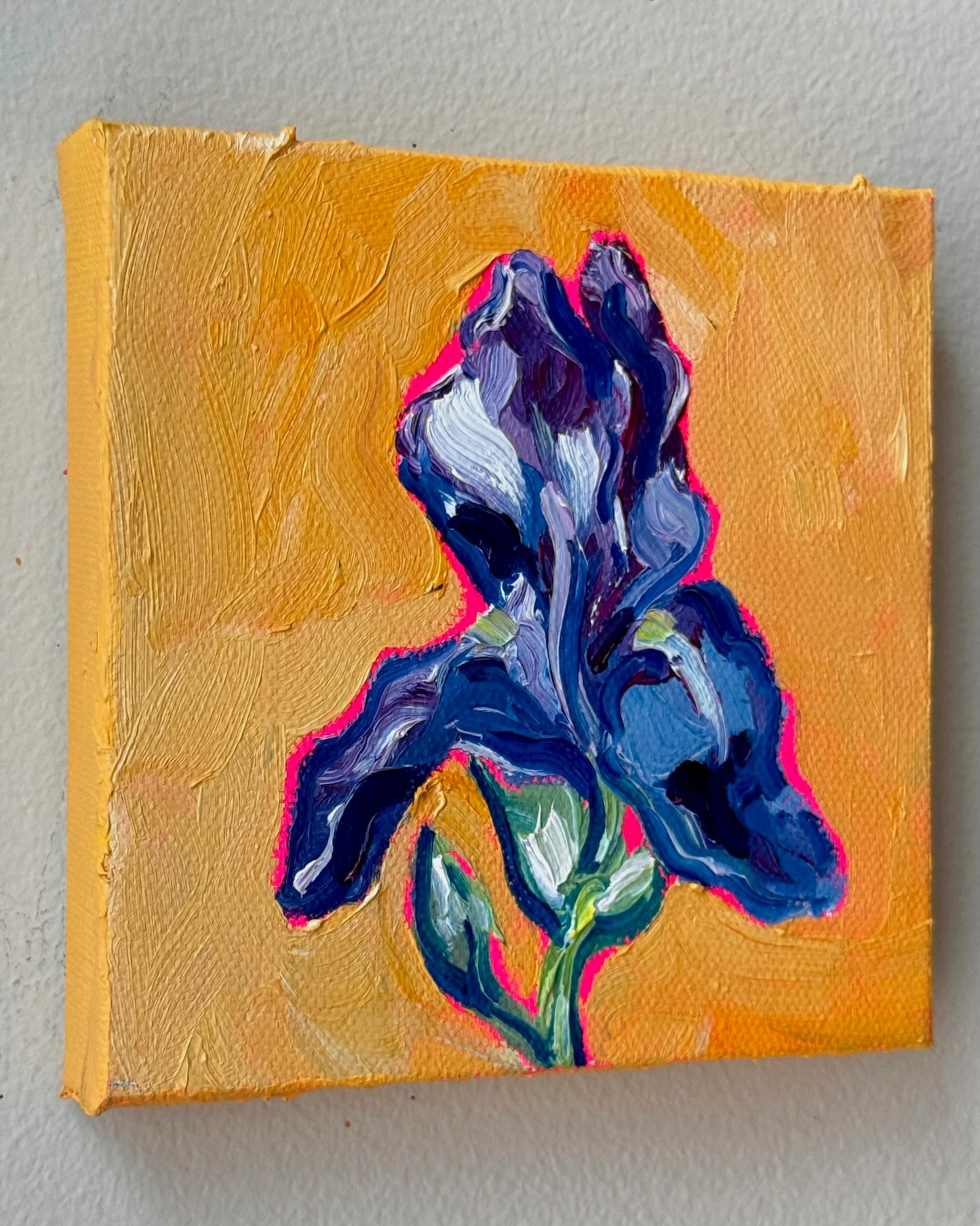 Mini Iris, 5x5 Inch Original