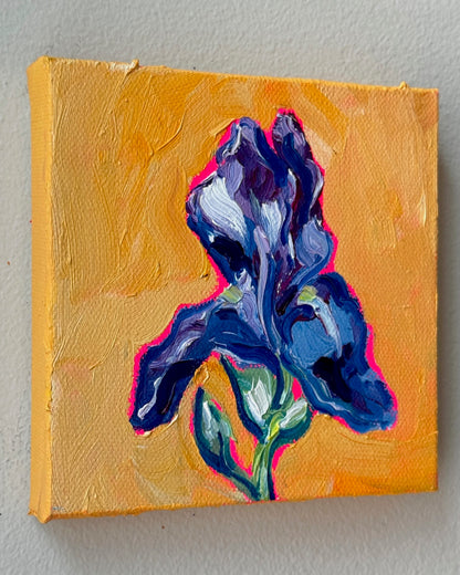 Mini Iris, 5x5 Inch Original