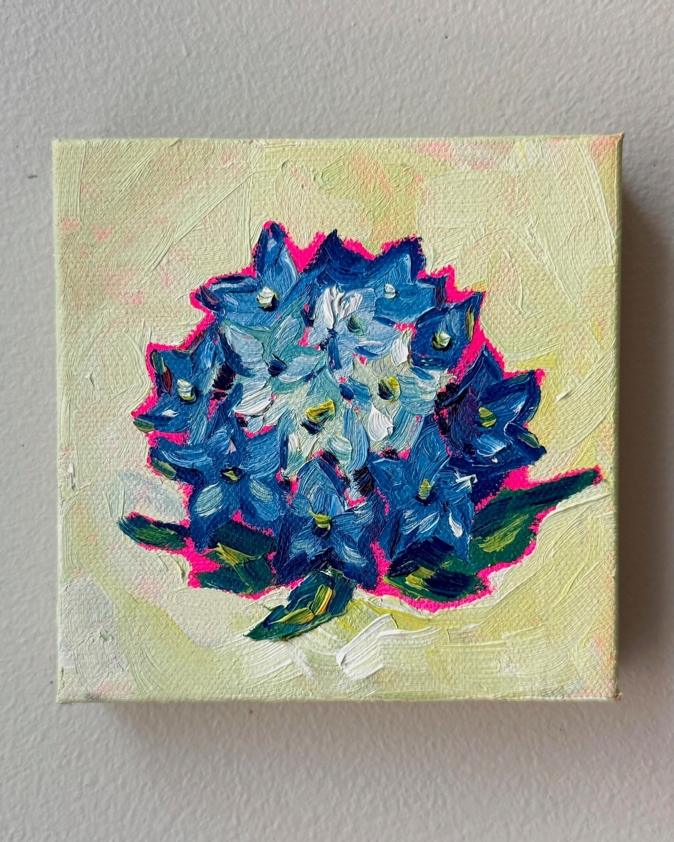 Mini Hydrangea, 5x5 Inch Original
