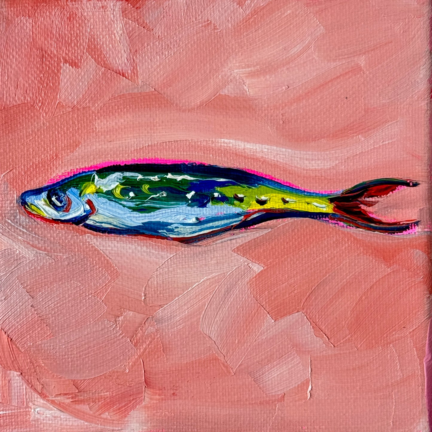 Mini Sardine 5x5 Inch Original