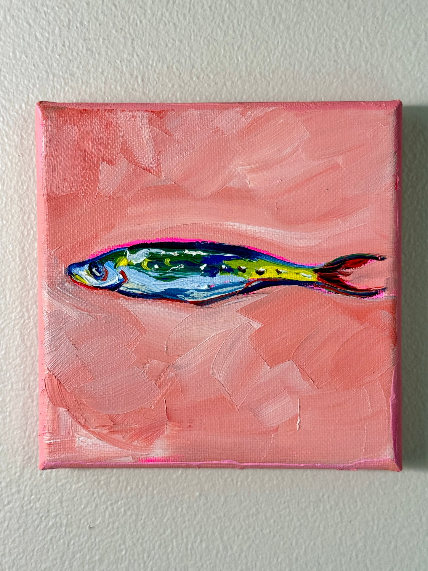 Mini Sardine 5x5 Inch Original
