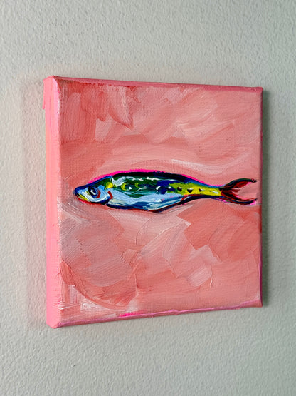 Mini Sardine 5x5 Inch Original