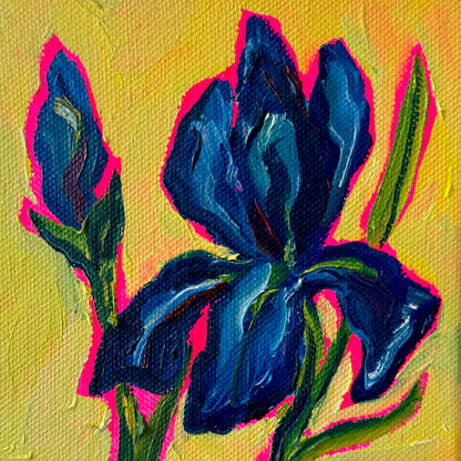 Mini Blue Iris, 5x5 Inch Original