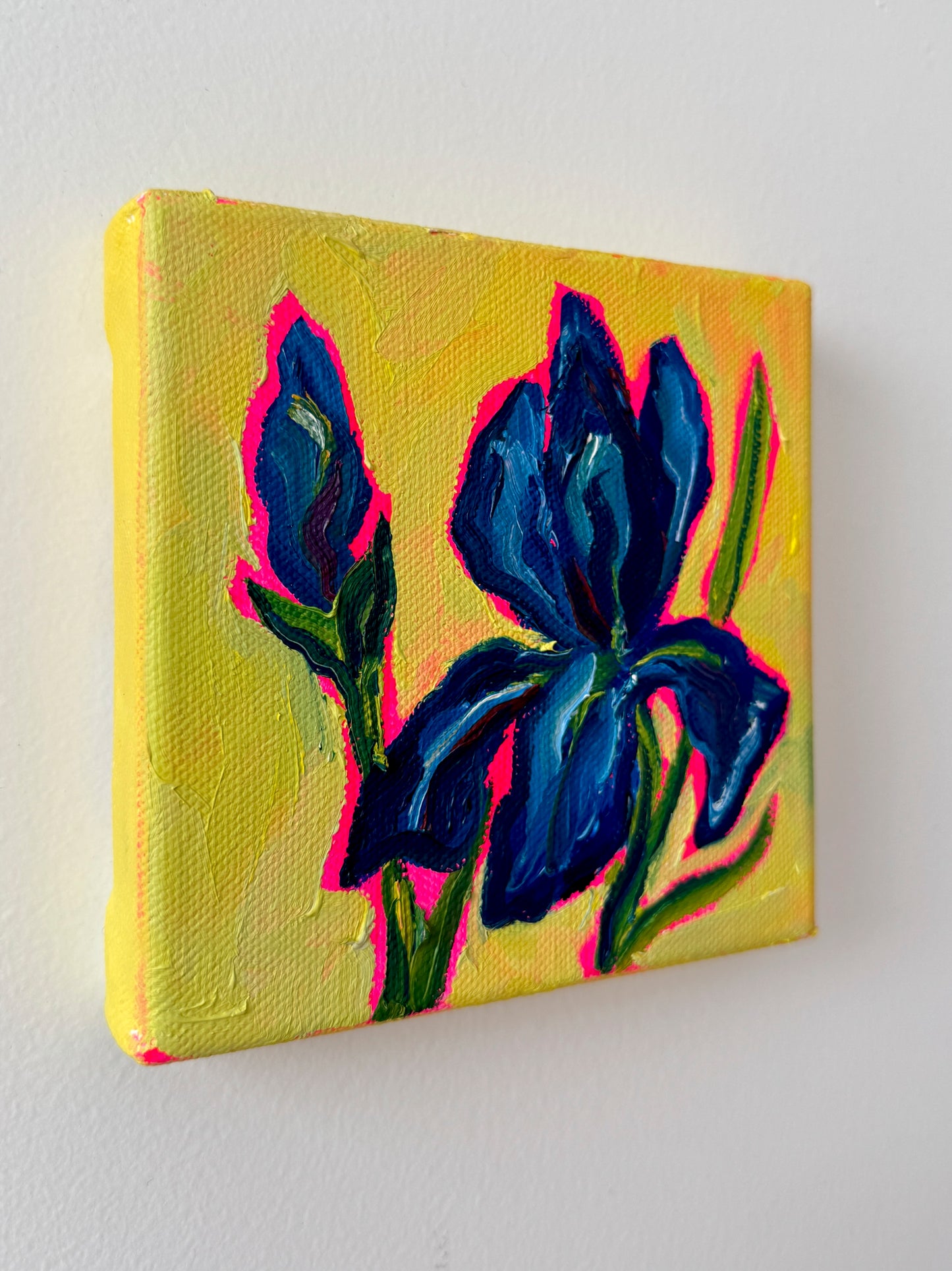 Mini Blue Iris, 5x5 Inch Original