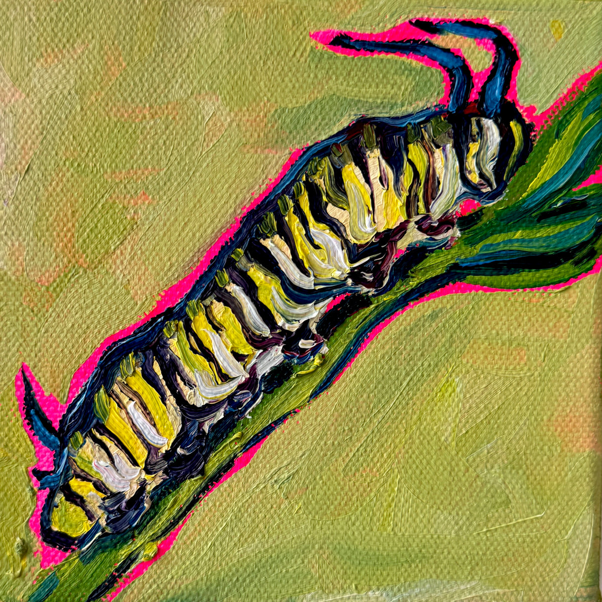 Mini Caterpillar, 5x5 Inch Original