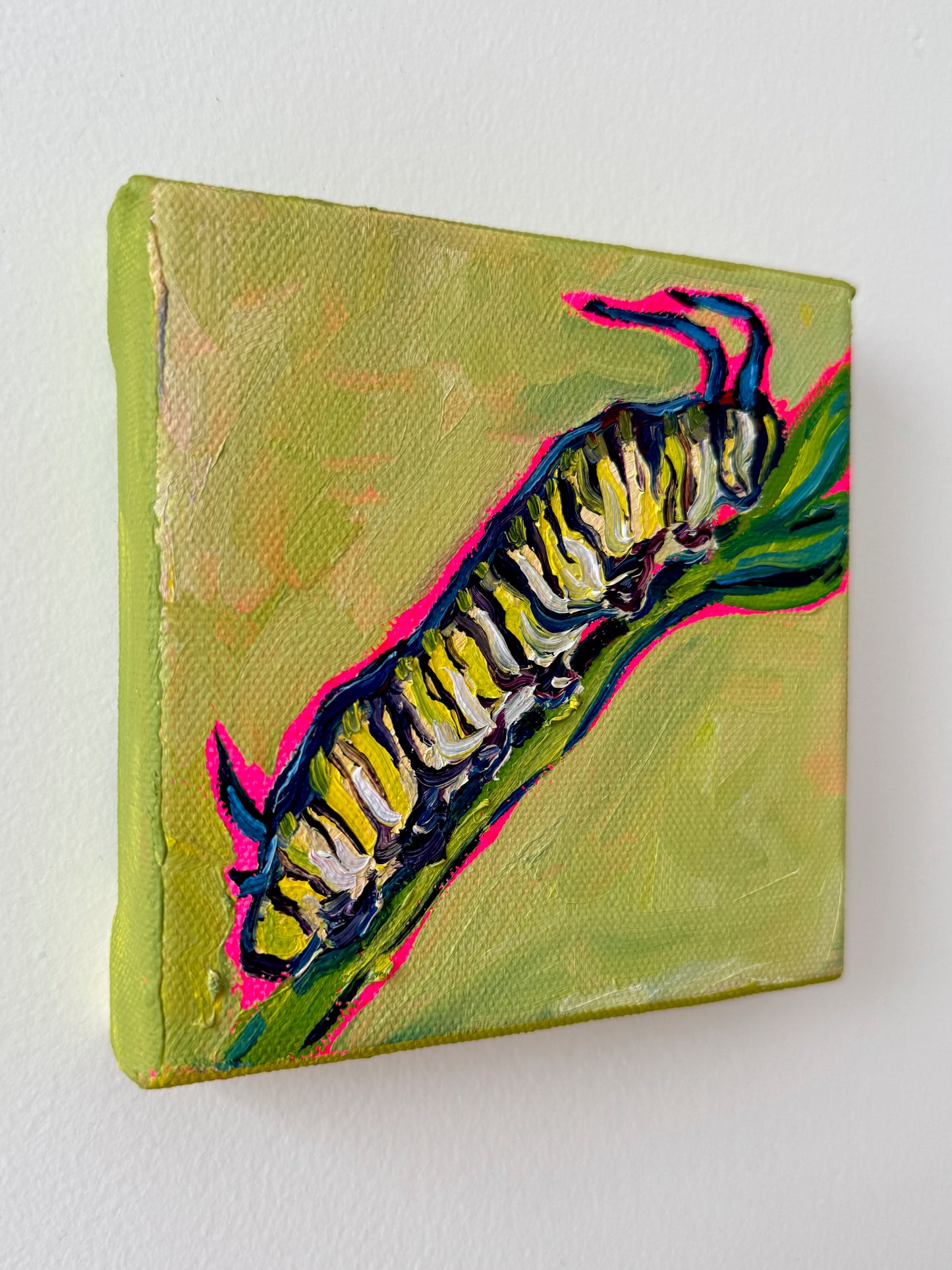 Mini Caterpillar, 5x5 Inch Original