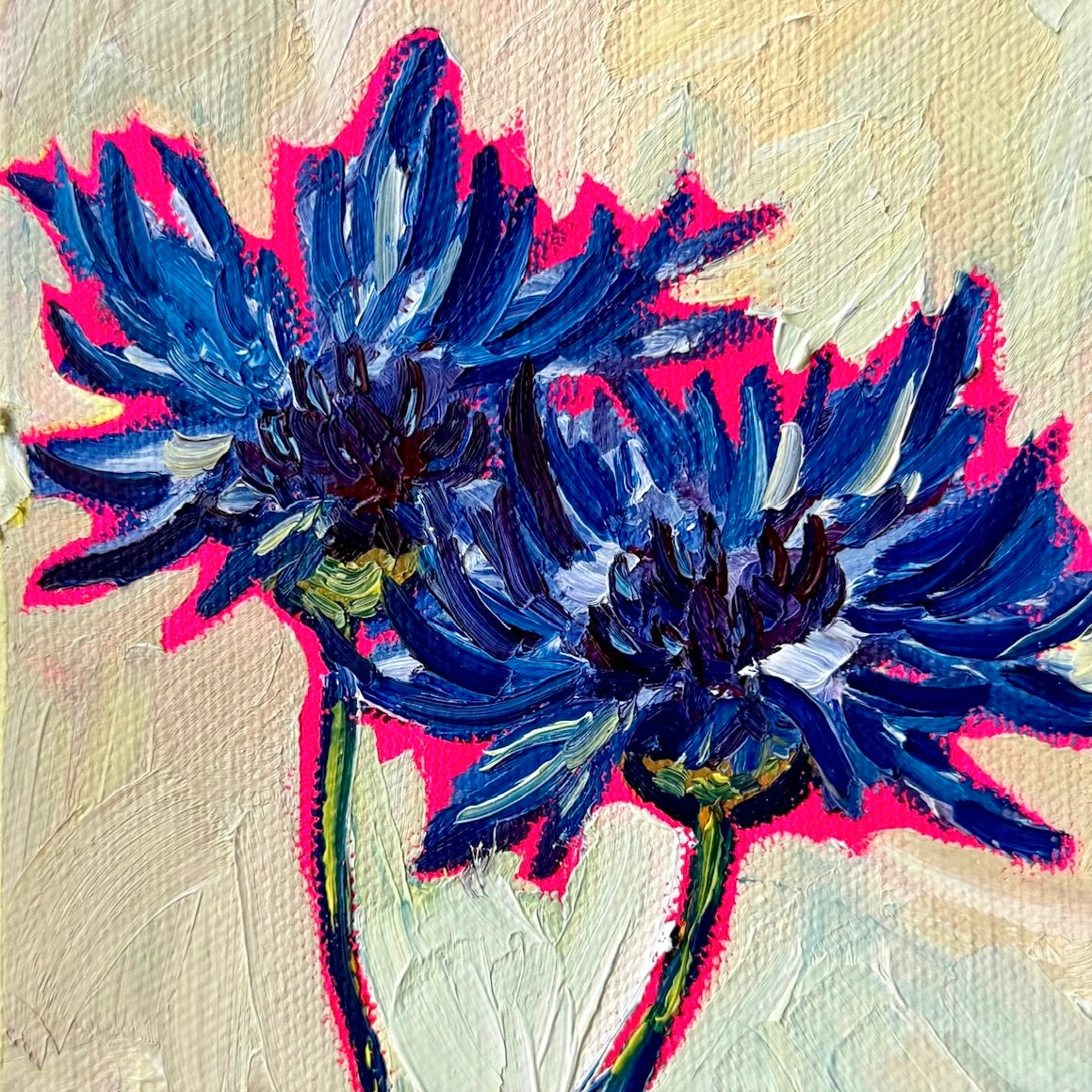 Mini Cornflowers PRINT (LIMITED TIME)