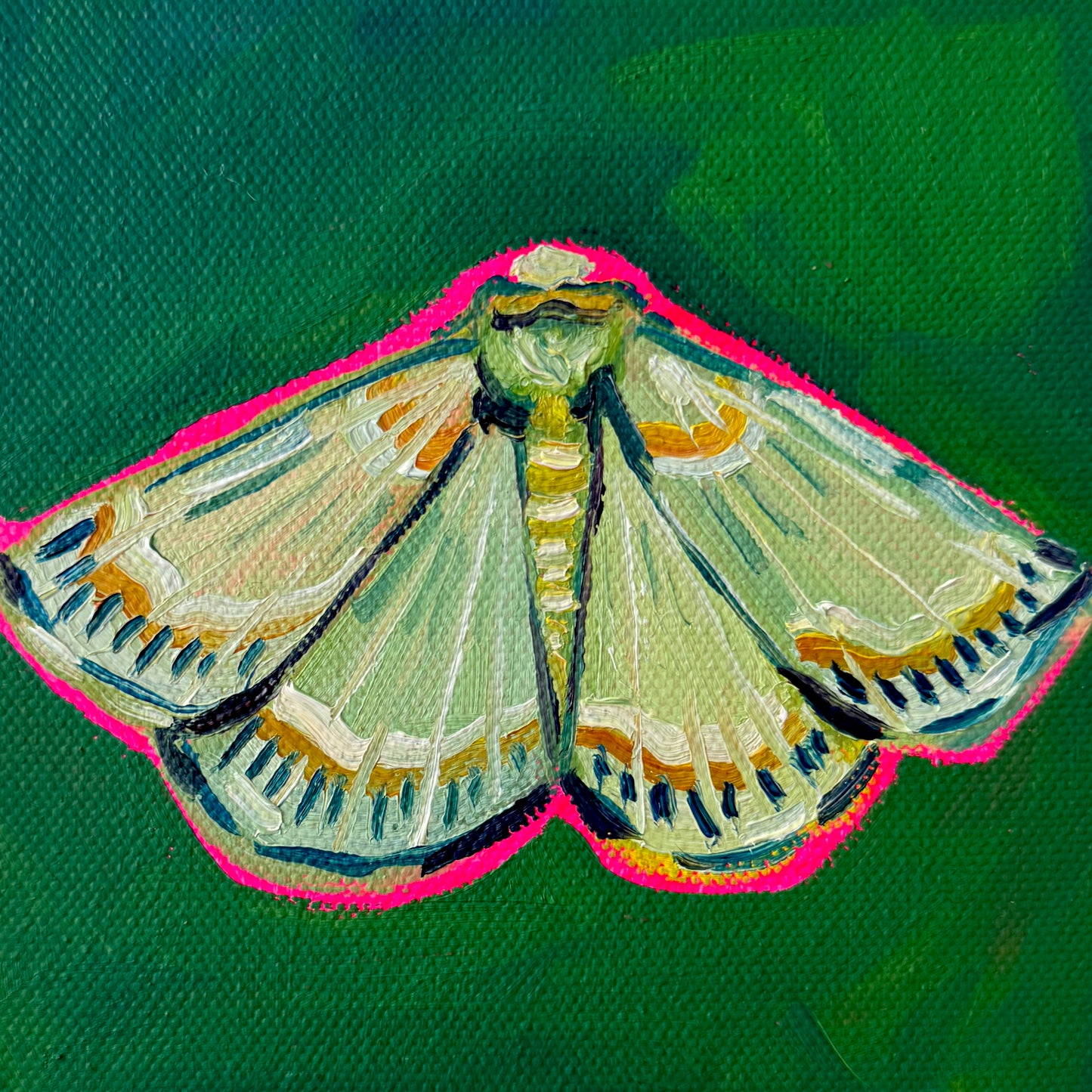 Mini Emerald Moth PRINT (LIMITED TIME)