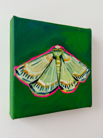 Mini Emerald Moth, 5x5 Inch Original