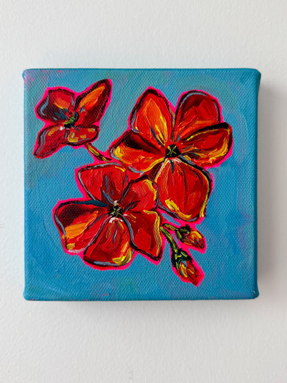 Mini Geraniums, 5x5 Inch Original
