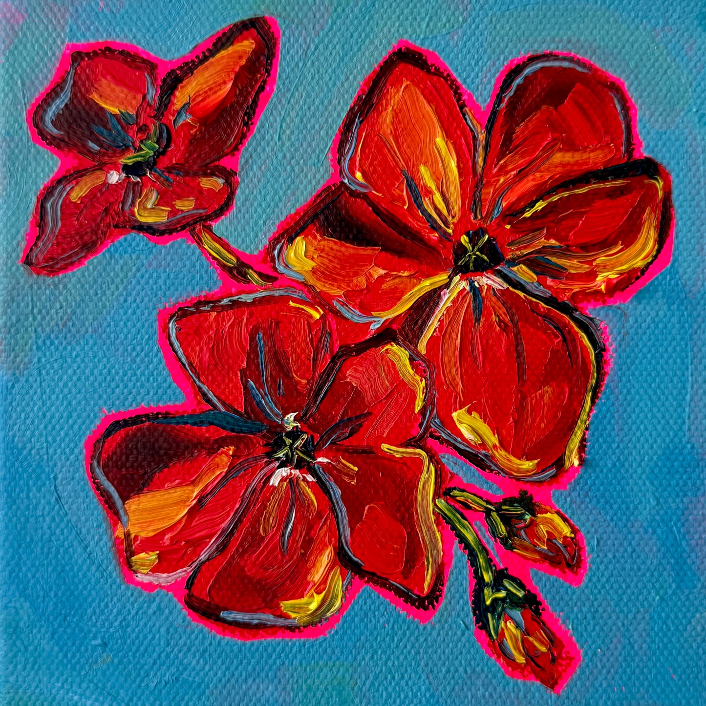 Mini Geraniums, 5x5 Inch Original