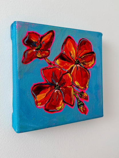 Mini Geraniums, 5x5 Inch Original