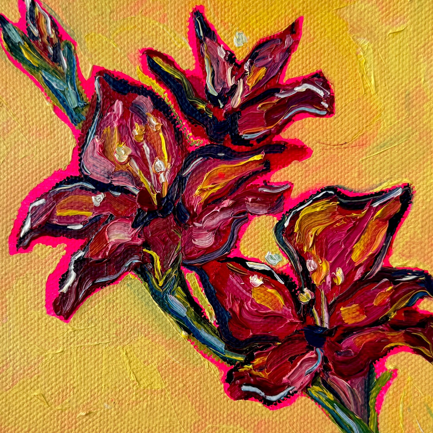 Mini Gladiolus, 5x5 Inch Original